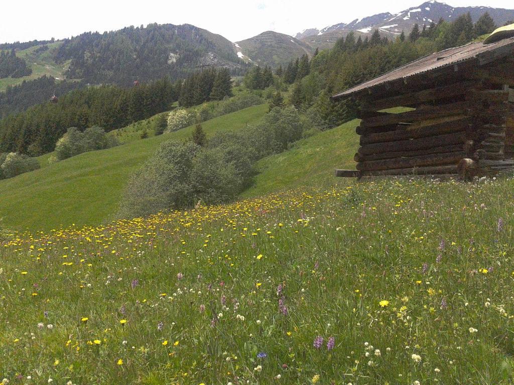 Apart Panoramablick Kaunerberg Kültér fotó